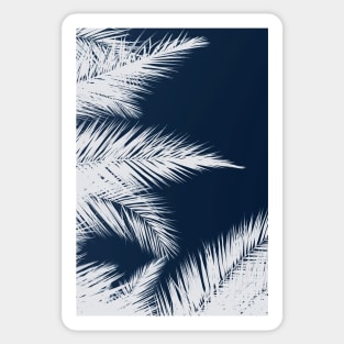 Palm Cyanotype #1 Sticker